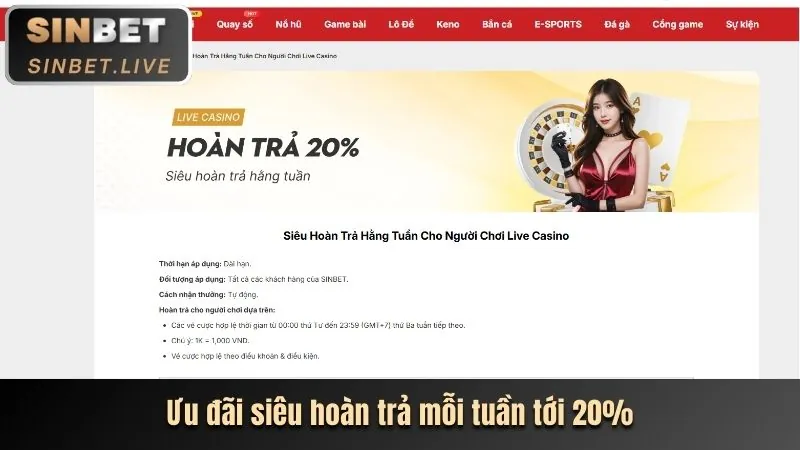 Phân tích các chương trình khuyến mãi 88e